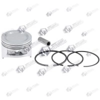 Kit piston Honda GCV 135, GCV 160 64mm (Terra)
